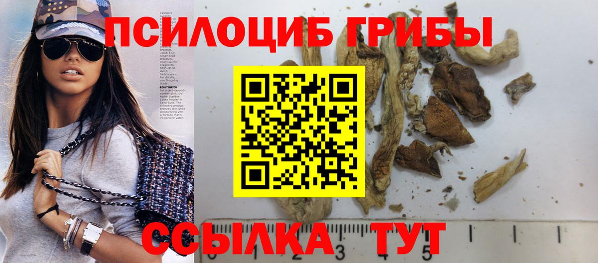 Крымск  Псилоцибиновые грибы MAGIC MUSHROOMS  Вход с VPN 